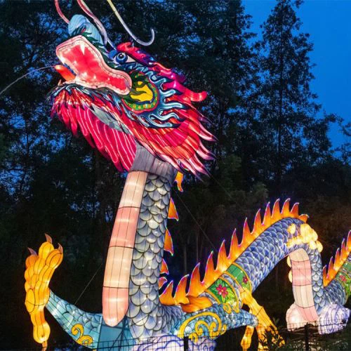 Nrov Txuj Ci Ua Tsiaj Ntuj Hauv Tsiaj Teeb Cov Paj Yeeb Qaum Tsiaj