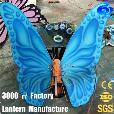 Zoo Nkauj Tsim Peacock Teeb Rau So Rau Hnub So CIty Txoj Kev Kho Kom Zoo Nkauj